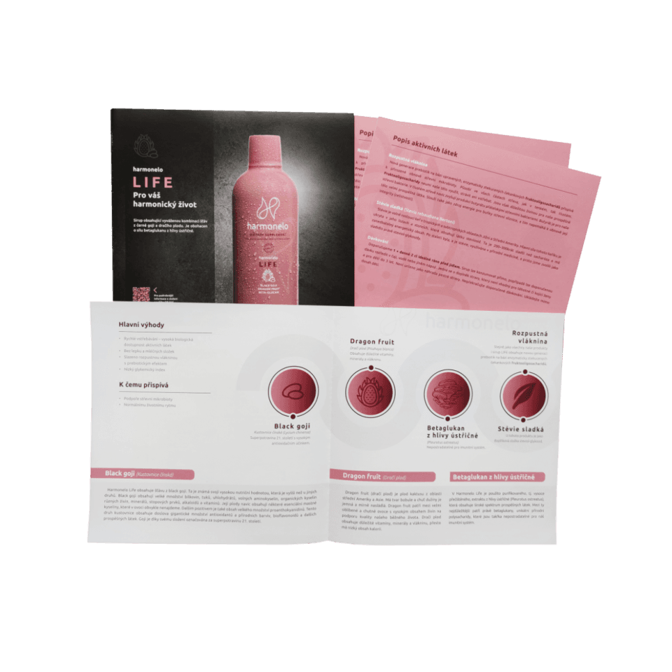 LEAFLET_10_LIFE_DE